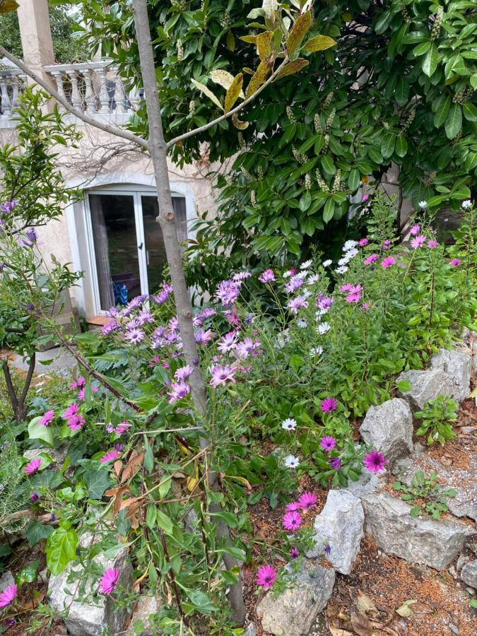 Chambre Spacieuse Independante Dans Villa Plus Parking Privee Λε Κανέ Εξωτερικό φωτογραφία